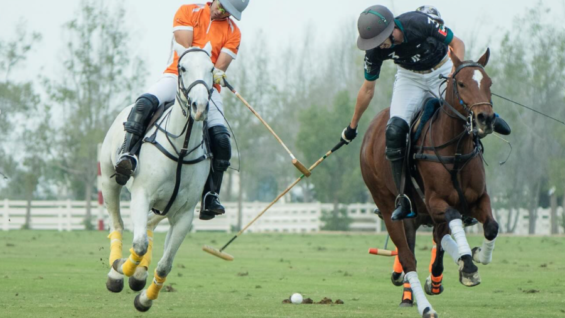 Captura de pantalla 2026-01-21 a las 9.56.55 p. m.-2